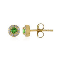 Orecchini in argento con Tsavorite