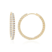 Orecchini in argento con Zircone