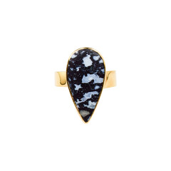 Anello in argento con Legno di Palma Pietrificato