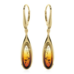 Orecchini in argento con Ambra Baltica