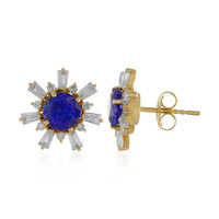 Orecchini in oro con Tanzanite (Adela Gold)