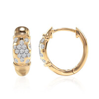 Orecchini in oro con Diamante SI1 (G)