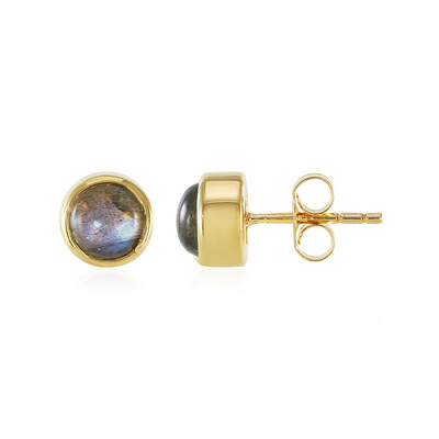 Orecchini in argento con Labradorite