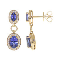 Orecchini in oro con Tanzanite AAA (CIRARI)
