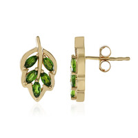 Orecchini in argento con Diopside Russo