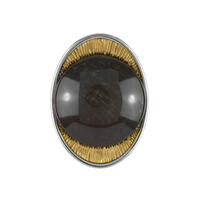 Ciondolo in argento con Legno Fossile