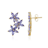 Orecchini in argento con Tanzanite