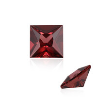 Gemma con Zircone Rosa