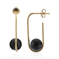 Orecchini in argento con Onice Nero