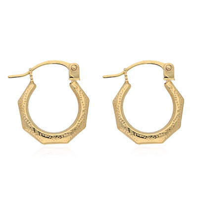 Orecchini in oro