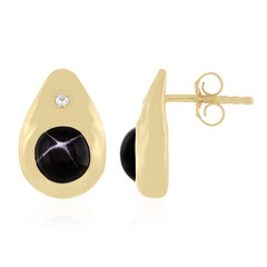 Orecchini in argento con Diopside Stellato d'India