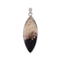 Ciondolo in argento con Legno Fossile