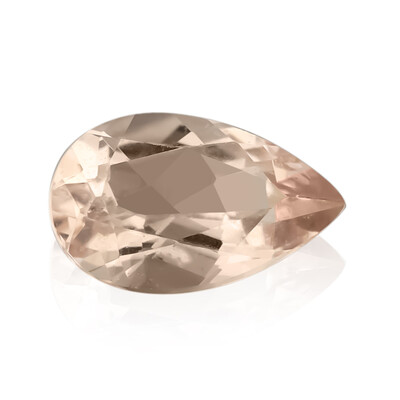 Gemma con Morganite Pesca