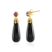 Orecchini in argento con Onice Nero