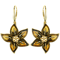 Orecchini in argento con Ambra Baltica