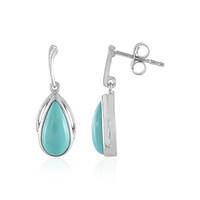 Orecchini in argento con Turchese
