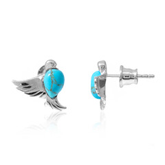 Orecchini in argento con Turchese