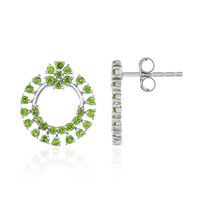 Orecchini in argento con Diopside Russo