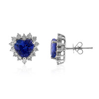 Orecchini in oro con Tanzanite AAA (CIRARI)