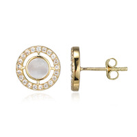 Orecchini in argento con Madreperla