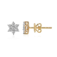 Orecchini in oro con Diamante IF (D)