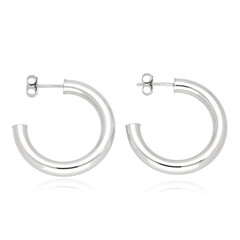 Orecchini in argento