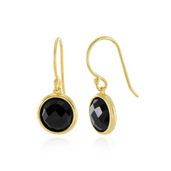 Orecchini in argento con Onice Nero