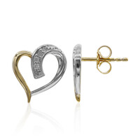 Orecchini in argento con Diamante PK (I)