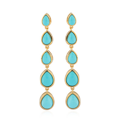Orecchini in argento con Turchese Sleeping Beauty (de Melo)