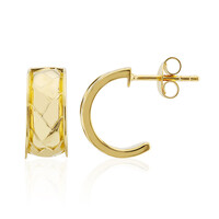 Orecchini in argento