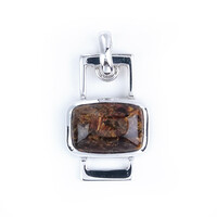 Ciondolo in argento con Pietersite