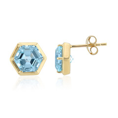 Orecchini in argento con Topazio Blu Cielo