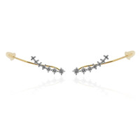 Orecchini in oro con Diamante SI1 (G)
