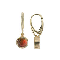 Orecchini in argento con Ammolite