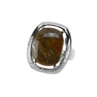 Anello in argento con Legno Fossile