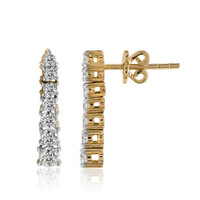 Orecchini in oro con Diamante IF (D)