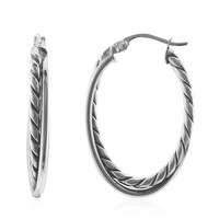 Orecchini in argento