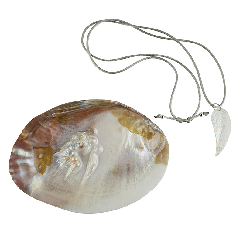 BIANMTSW Conchiglia di Abalone Naturale Art Collection Crystal Stone Collezioni di casa