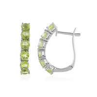 Orecchini in argento con Peridoto