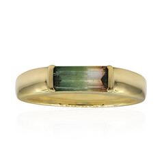 Anello in oro con Tormalina Bicolore