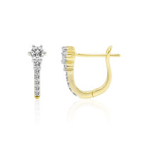 Orecchini in oro con Diamante IF (D)