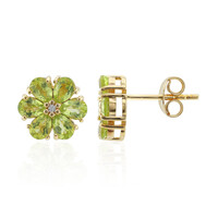 Orecchini in argento con Peridoto della Birmania