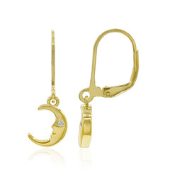 Orecchini in argento con Zircone