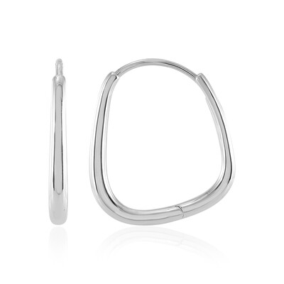 Orecchini in argento
