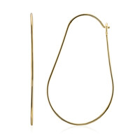 Orecchini in argento