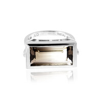 Anello in argento con Quarzo Bicolore