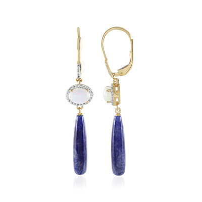 Orecchini in argento con Sodalite