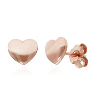 Orecchini in argento