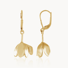 Orecchini in argento