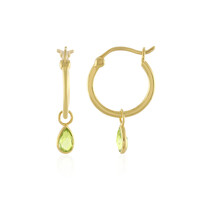 Orecchini in argento con Peridoto